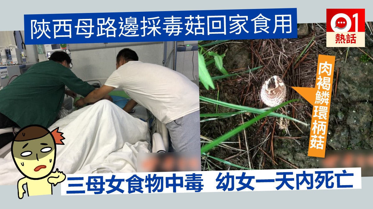 陝西婦摘毒菇進食 幼女一天內身亡 母姊料花23萬洗腎 陝西婦摘毒菇進食 幼女一天內身亡 母姊料花23萬洗腎