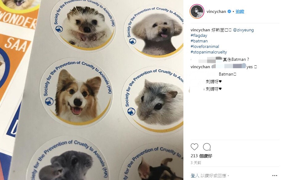 (Instagram:vincychan) (Instagram:vincychan)