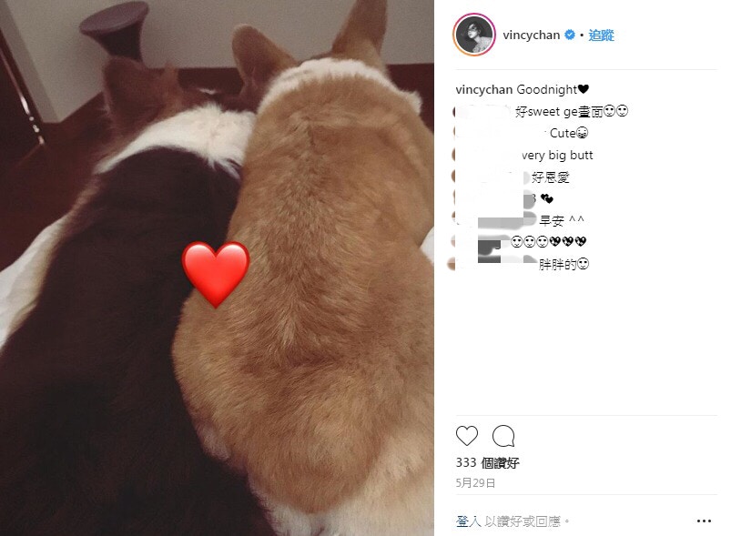 (Instagram:vincychan) (Instagram:vincychan)