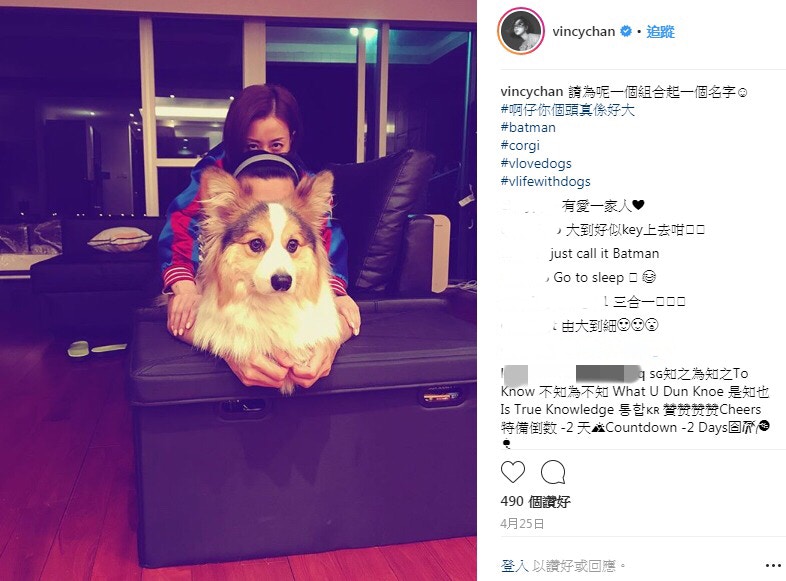 (Instagram:vincychan) (Instagram:vincychan)