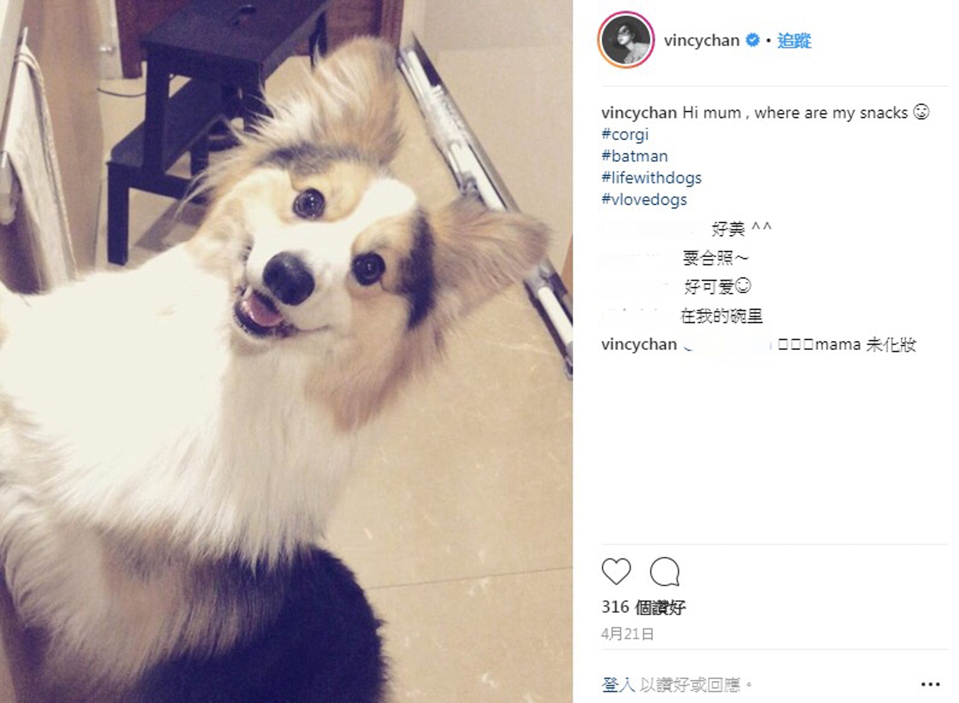 (Instagram:vincychan) (Instagram:vincychan)