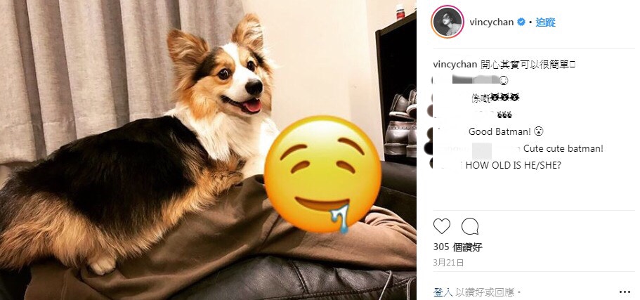 (Instagram:vincychan) (Instagram:vincychan)