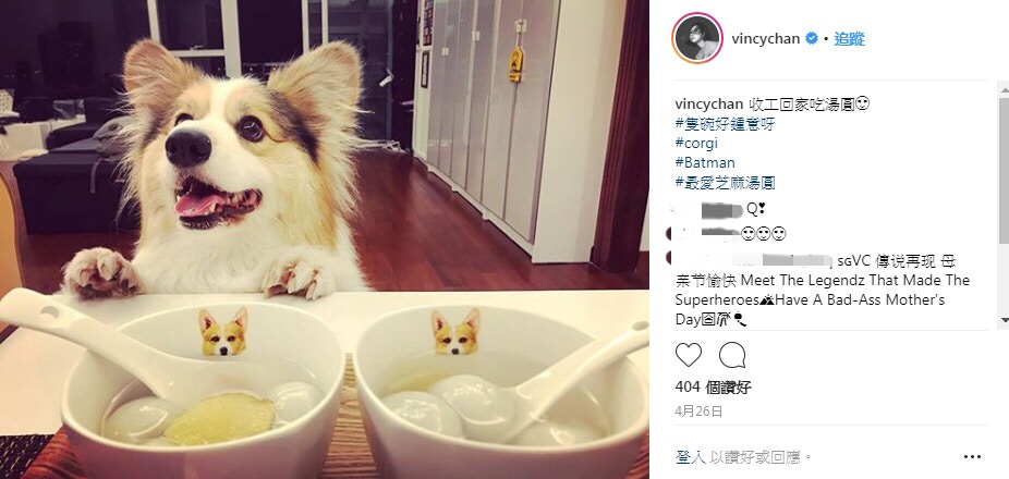 (Instagram:vincychan) (Instagram:vincychan)