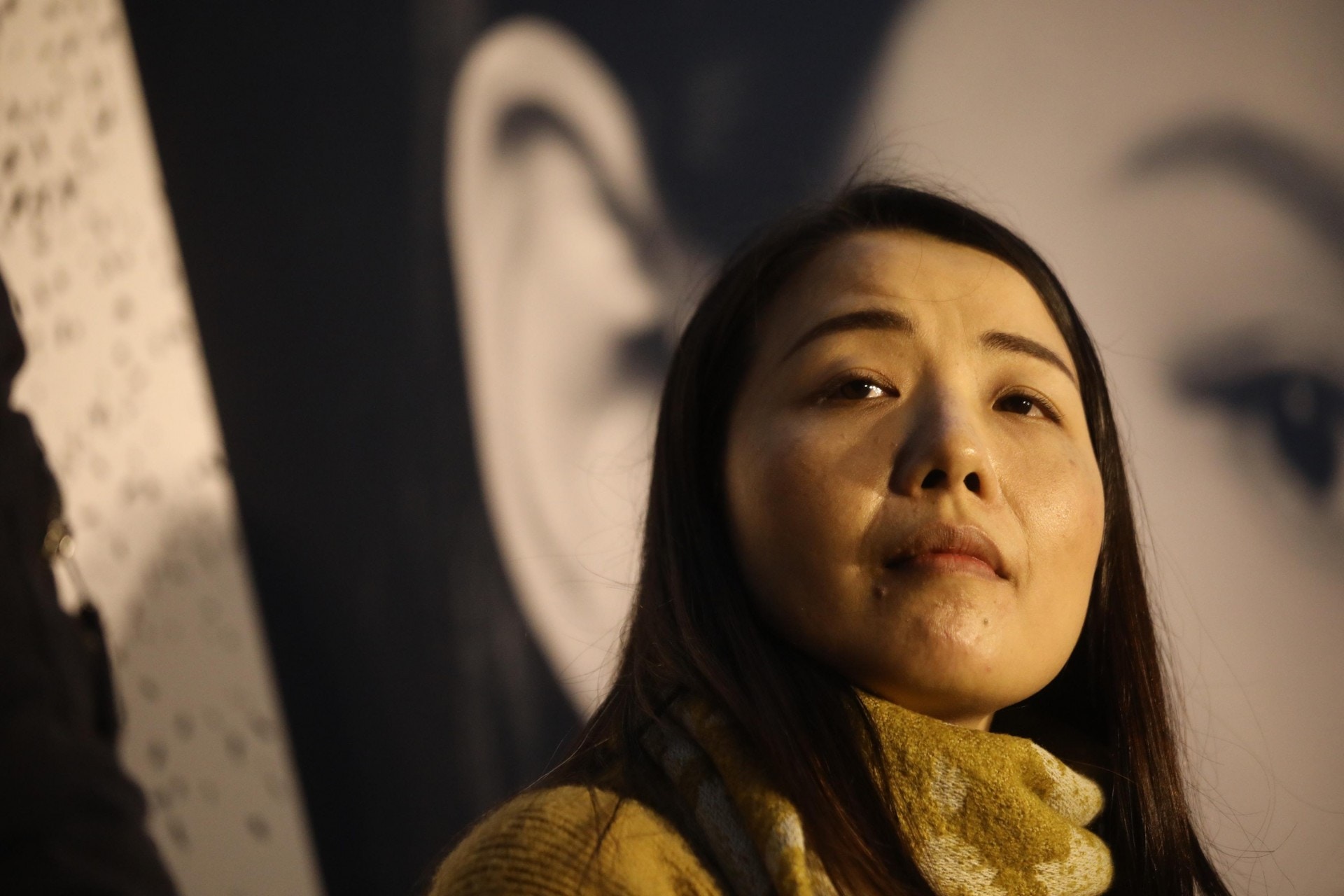 【立會補選】民主派協定劉小麗選九西　李卓人任Plan B
