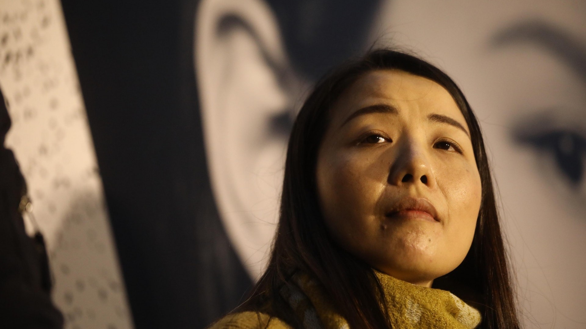 【立會補選】民主派協定劉小麗選九西 李卓人任Plan B 【立會補選】民主派協定劉小麗選九西 李卓人任Plan B