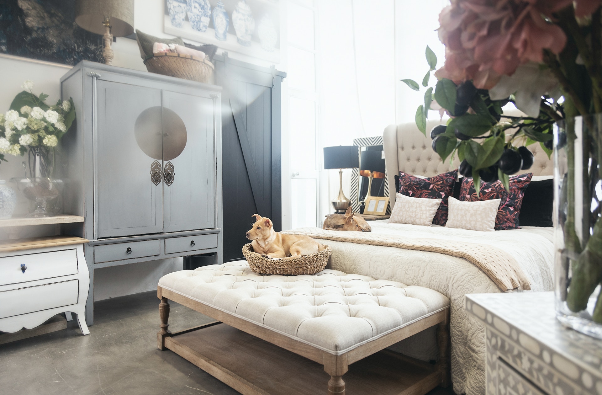 救狗之家一直致力拯救本地被遺棄狗隻(Tatiana Yankovskaya) 救狗之家一直致力拯救本地被遺棄狗隻(Tatiana Yankovskaya)