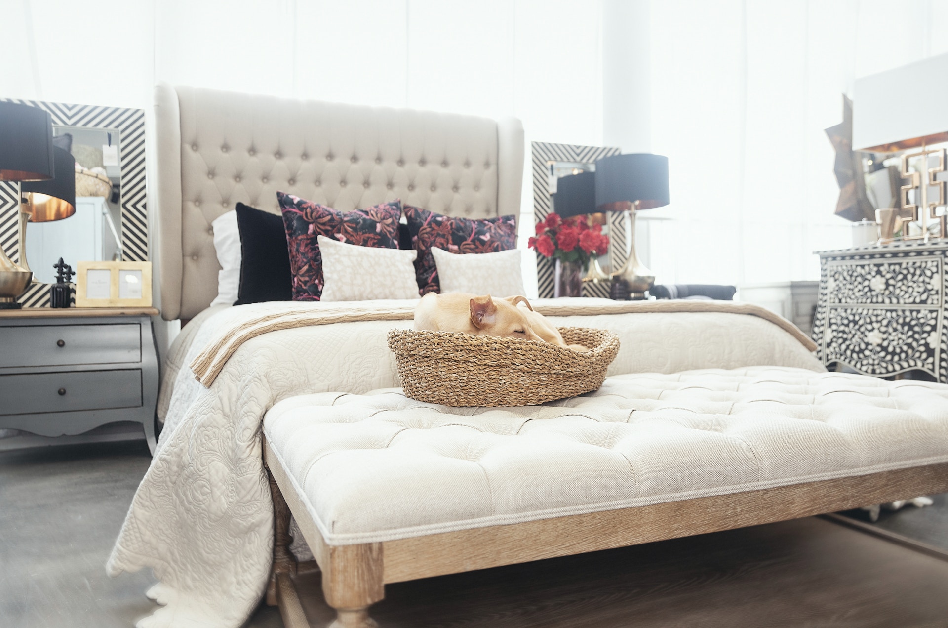 在流浪的日子裏,狗狗總是要擔驚受怕 (Tatiana Yankovskaya) 在流浪的日子裏,狗狗總是要擔驚受怕 (Tatiana Yankovskaya)