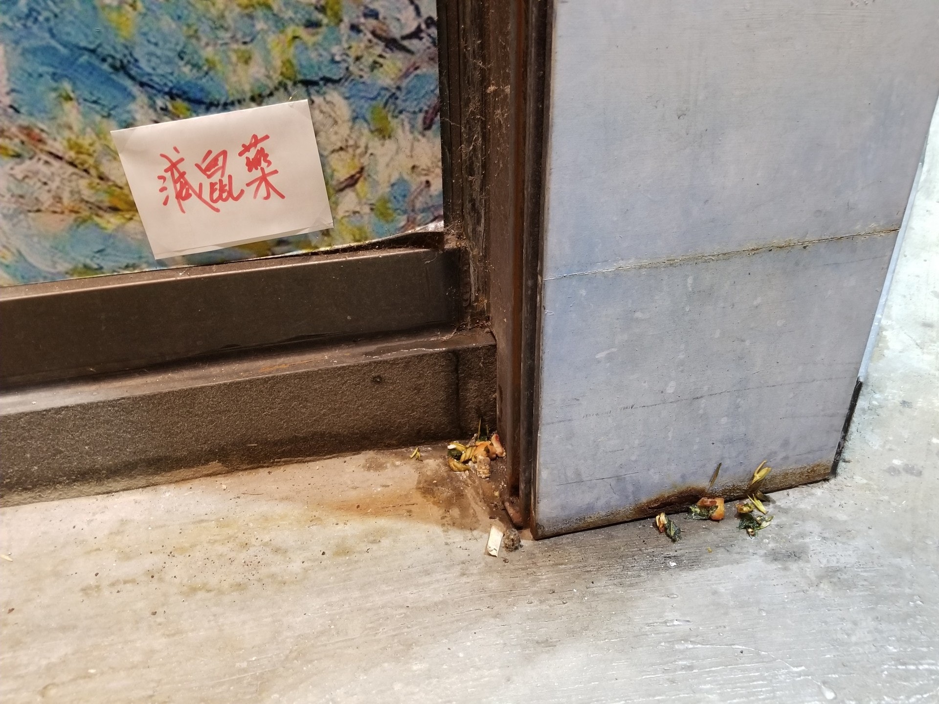 狗主沿散步路線而行,在一間食肆外發現懷疑滅鼠藥。(王譯揚攝) 狗主沿散步路線而行,在一間食肆外發現懷疑滅鼠藥。(王譯揚攝)
