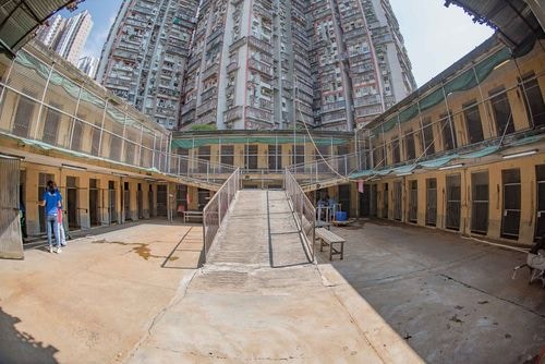 狗房現場環境。(澳門新聞局圖片) 狗房現場環境。(澳門新聞局圖片)