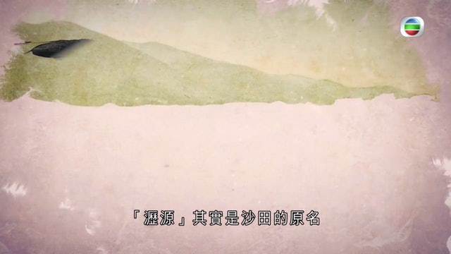 (電視畫面) (電視畫面)