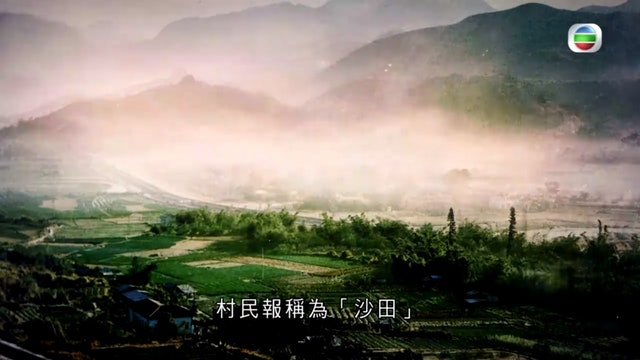 (電視畫面) (電視畫面)