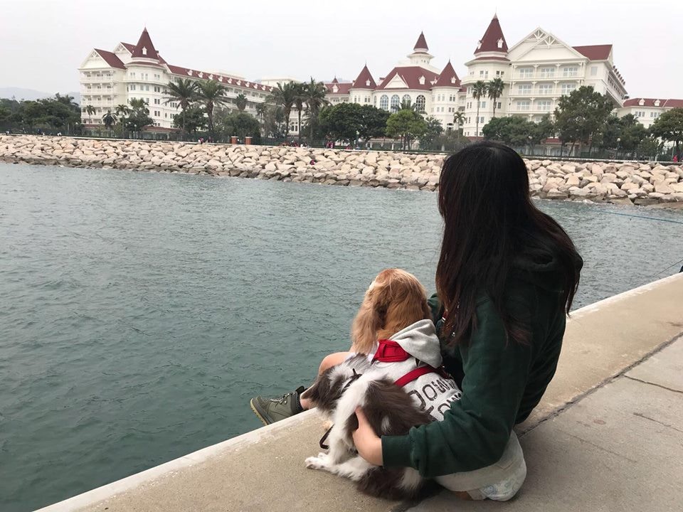 Elaine表示只要嘉嘉一日還表現出生存意志,她就絕對不會放棄。(圖片由受訪者提供) Elaine表示只要嘉嘉一日還表現出生存意志,她就絕對不會放棄。(圖片由受訪者提供)