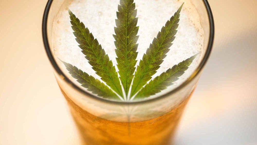 少少鹹多多趣 加拿大首創「大麻啤」 企業各出奇謀搶佔商機 少少鹹多多趣 加拿大首創「大麻啤」 企業各出奇謀搶佔商機