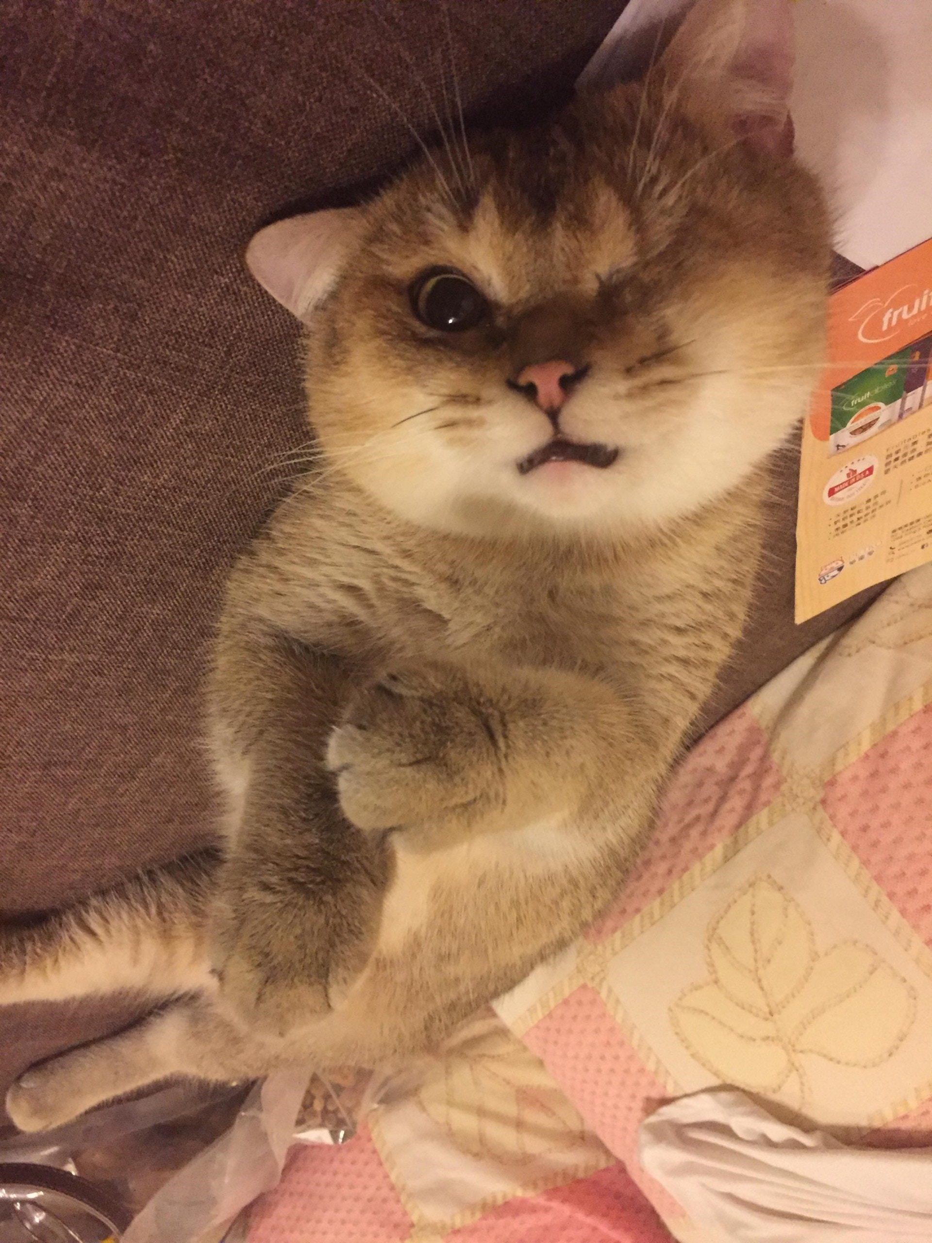 (受訪者提供) (受訪者提供)