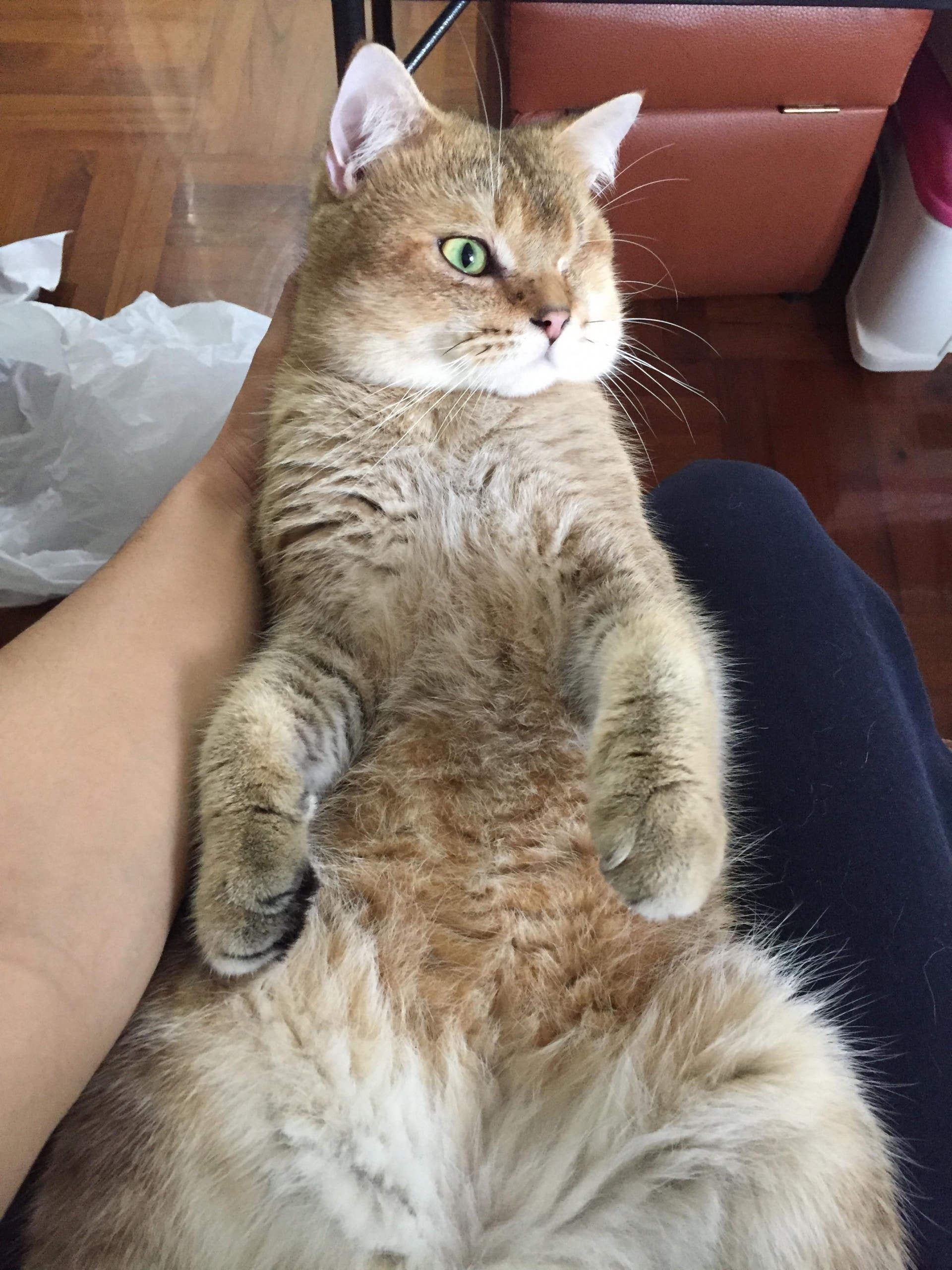 (受訪者提供) (受訪者提供)