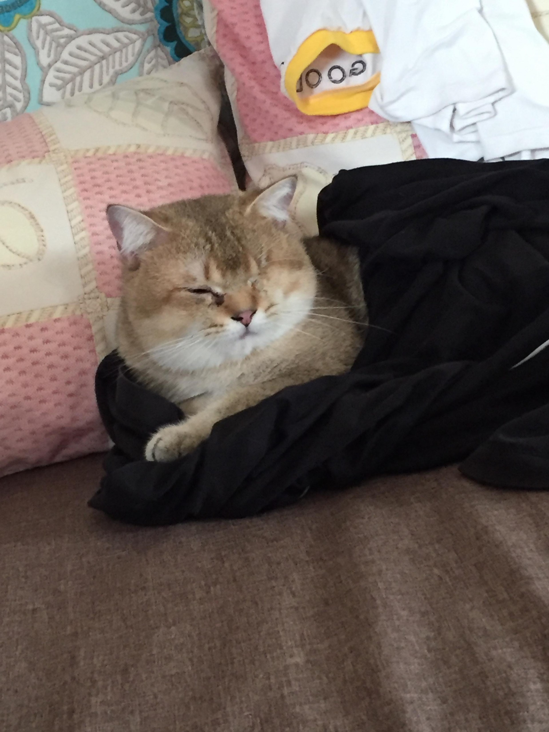 (受訪者提供) (受訪者提供)