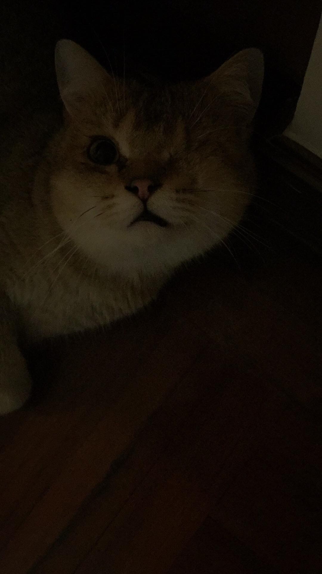 (受訪者提供) (受訪者提供)