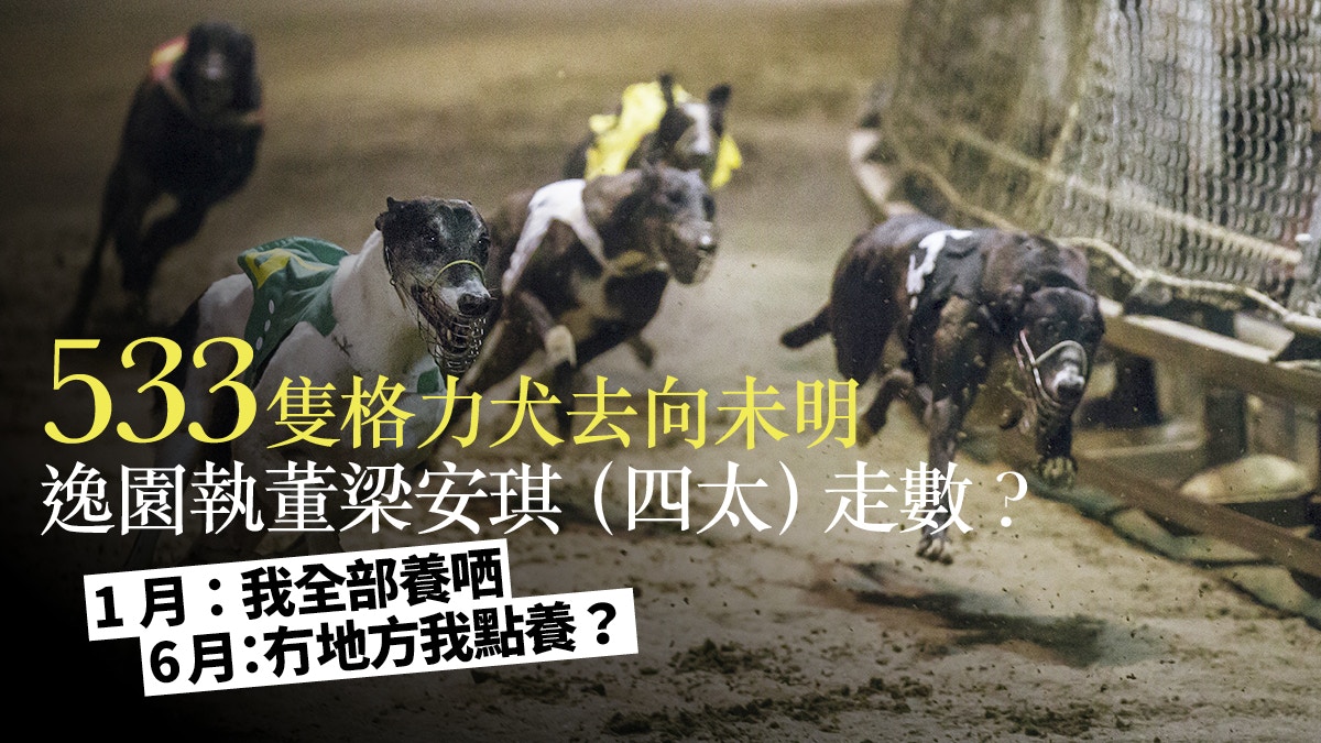 澳門格力犬前路未明　港澳政府協力助領養　惟逸園未履行責任