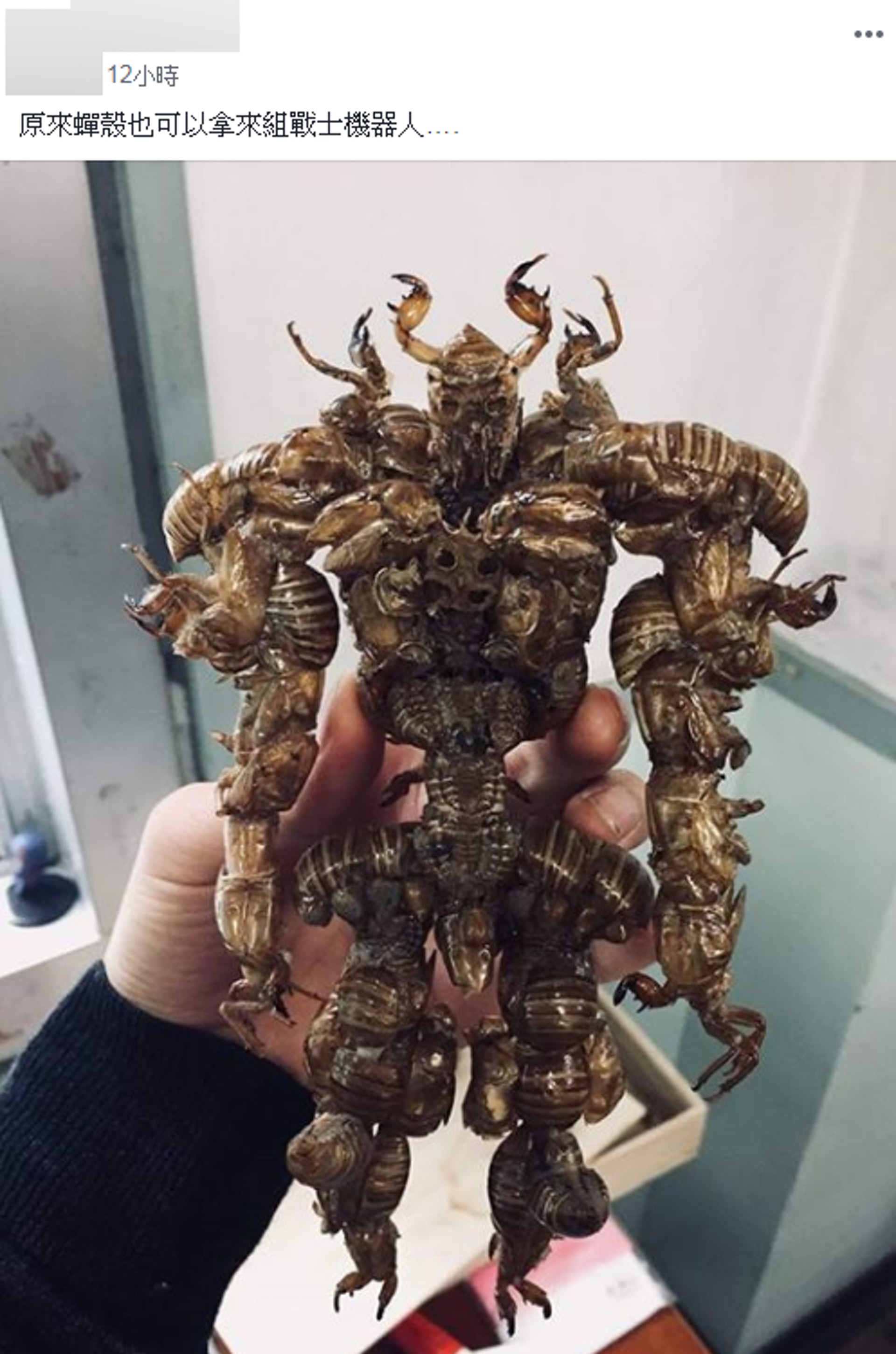 台灣有網民在facebook群組發布一張以蟬殼拼湊成的立體機械人照片,旋即獲得網民關注。(fb群組「爆笑公社 Taiwan Club」截圖) 台灣有網民在facebook群組發布一張以蟬殼拼湊成的立體機械人照片,旋即獲得網民關注。(fb群組「爆笑公社 Taiwan Club」截圖)