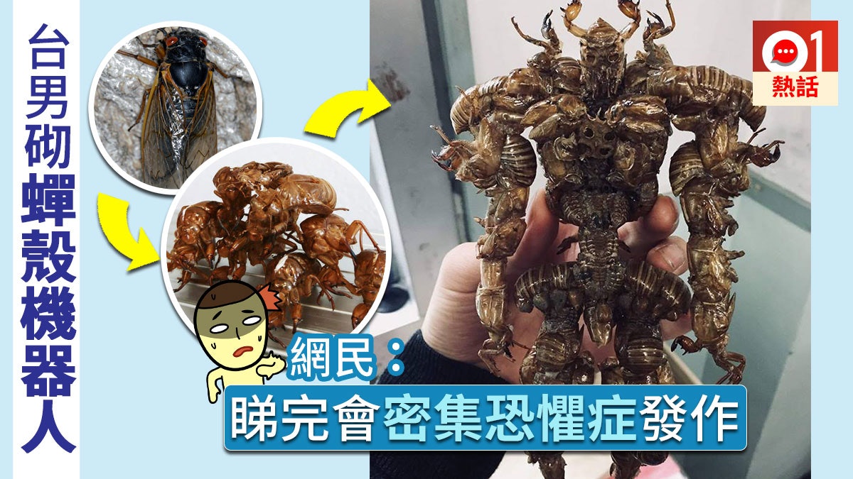 【密集恐懼症慎入】台男用蟬殼組機器人模型 網民:很強但超嘔心 【密集恐懼症慎入】台男用蟬殼組機器人模型 網民:很強但超嘔心