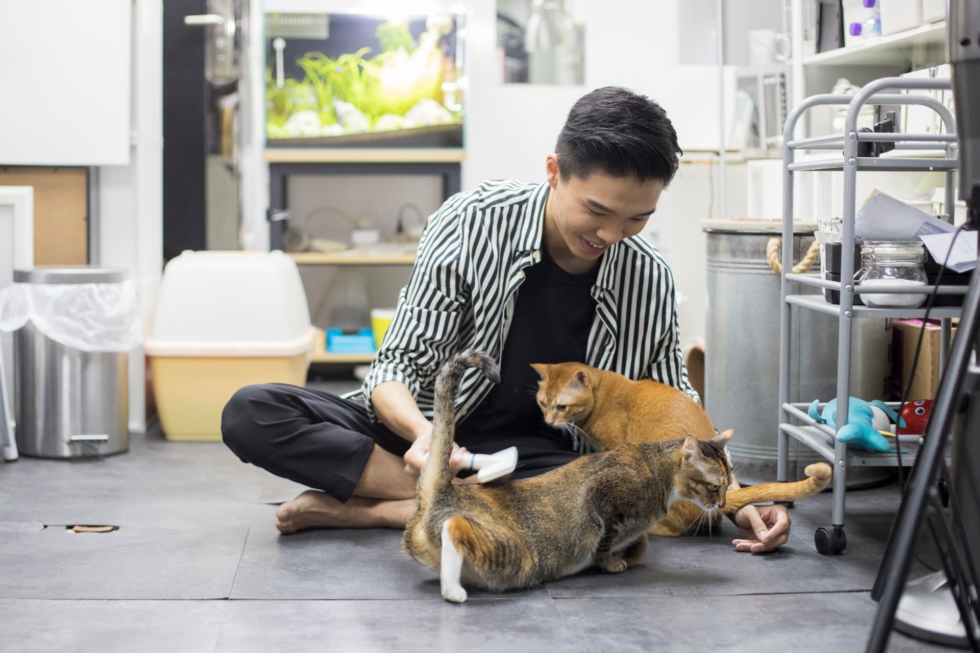 皮忠與麻妹和高高,經常有互動,相處融洽。﹙羅國輝攝﹚ 皮忠與麻妹和高高,經常有互動,相處融洽。﹙羅國輝攝﹚