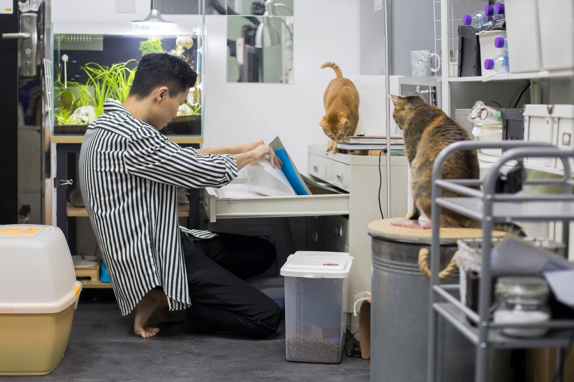 麻妹和高高對甚麼事都很好奇,常常伴在皮忠的左右。﹙羅國輝攝﹚ 麻妹和高高對甚麼事都很好奇,常常伴在皮忠的左右。﹙羅國輝攝﹚