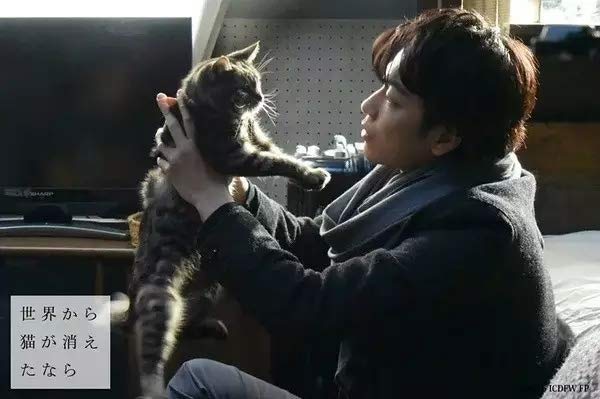 ﹙電影《當這地球沒有貓》截圖﹚ ﹙電影《當這地球沒有貓》截圖﹚