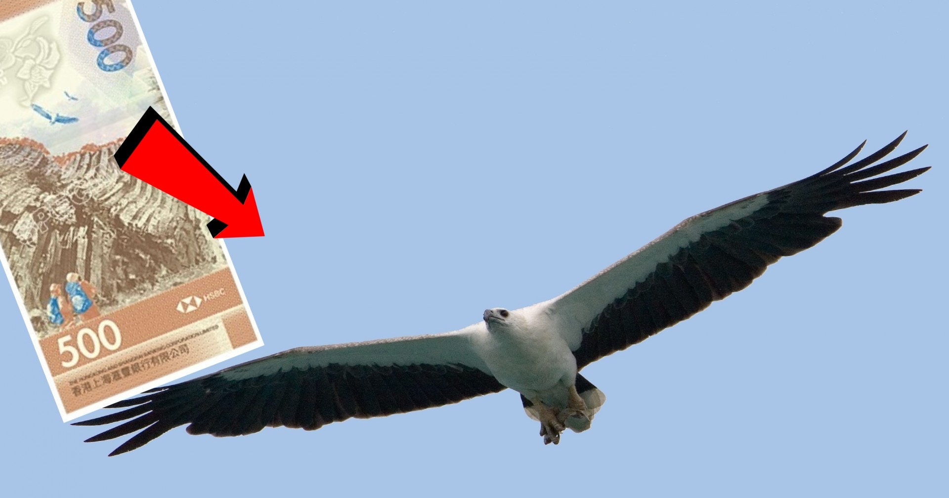 【新鈔票．冷知識】500蚊新「大牛」 六角型岩柱邊度有得睇？