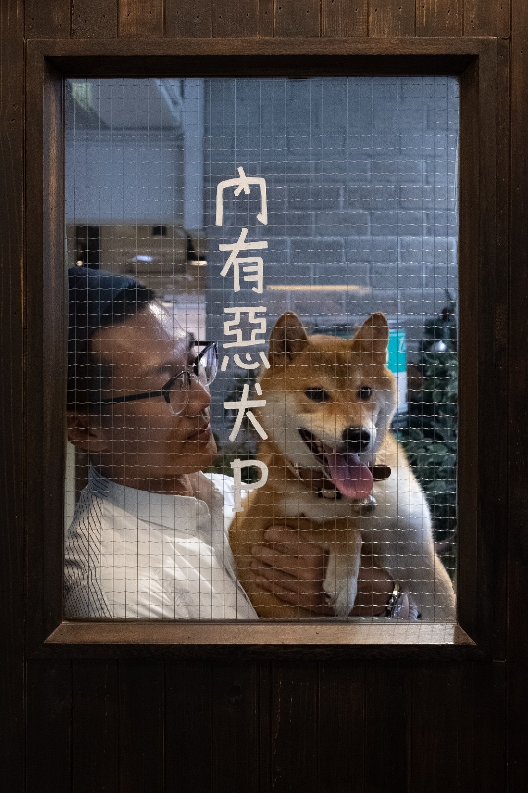 內有惡犬!?P仔你咁得意,人人都想攬下你抱下你就真!﹙高仲明攝﹚ 內有惡犬!?P仔你咁得意,人人都想攬下你抱下你就真!﹙高仲明攝﹚