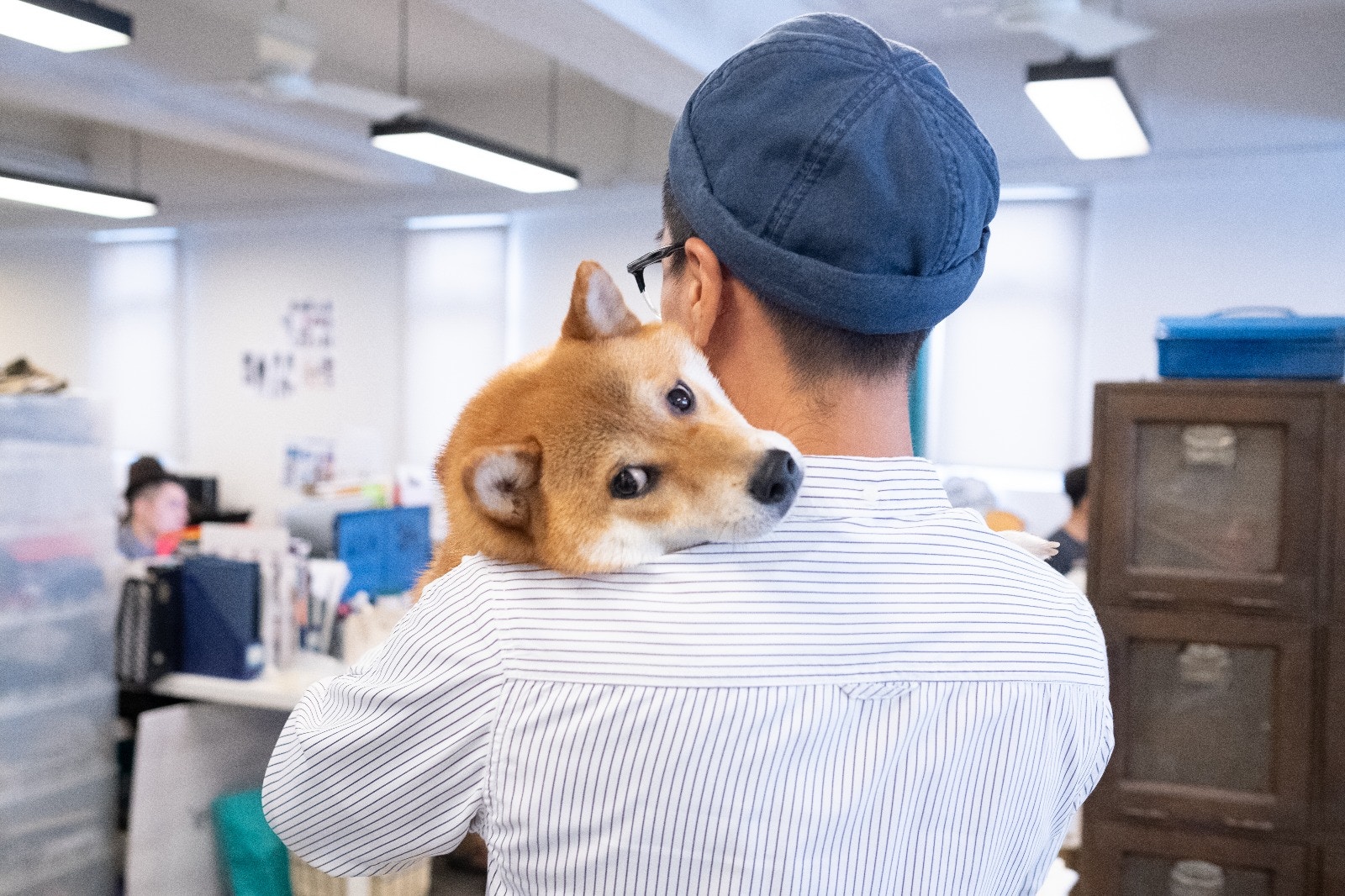 別以為老闆就是「大晒」,小山在決定帶同P仔上班前,也多番徵詢同事意見,了解他們的想法。﹙高仲明攝﹚ 別以為老闆就是「大晒」,小山在決定帶同P仔上班前,也多番徵詢同事意見,了解他們的想法。﹙高仲明攝﹚