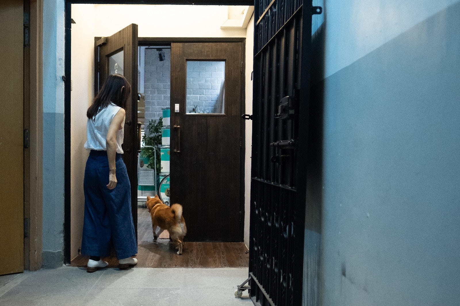 同事們會分工帶P仔上天台散步。﹙高仲明攝﹚ 同事們會分工帶P仔上天台散步。﹙高仲明攝﹚