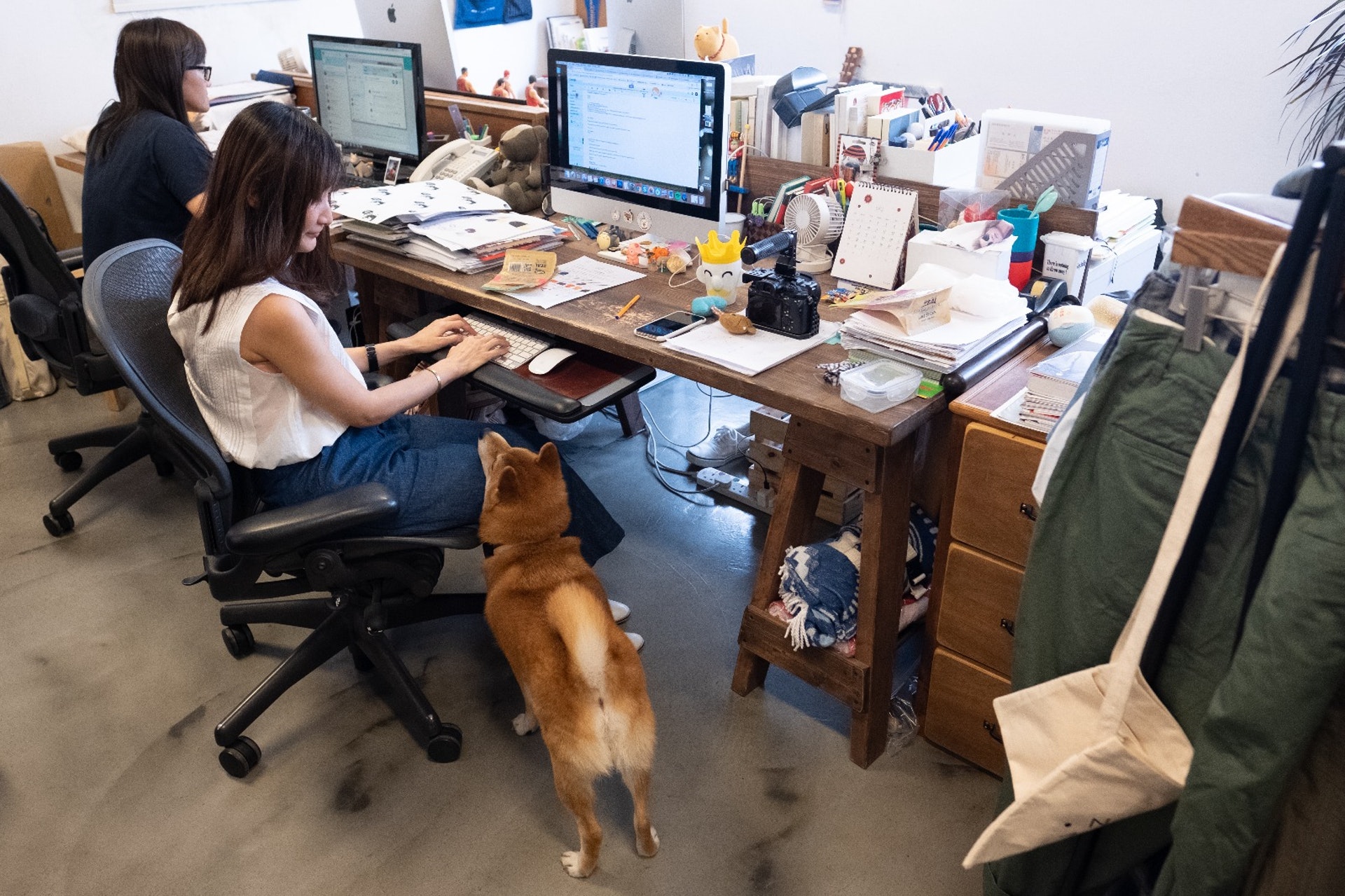 Carmen表示:「P仔有時會走過來討摸,想人陪牠玩,有時更會把頭放在你大腿上,等待你和牠交流,看到這樣的畫面,壓力都會一掃而空。」﹙高仲明攝﹚ Carmen表示:「P仔有時會走過來討摸,想人陪牠玩,有時更會把頭放在你大腿上,等待你和牠交流,看到這樣的畫面,壓力都會一掃而空。」﹙高仲明攝﹚