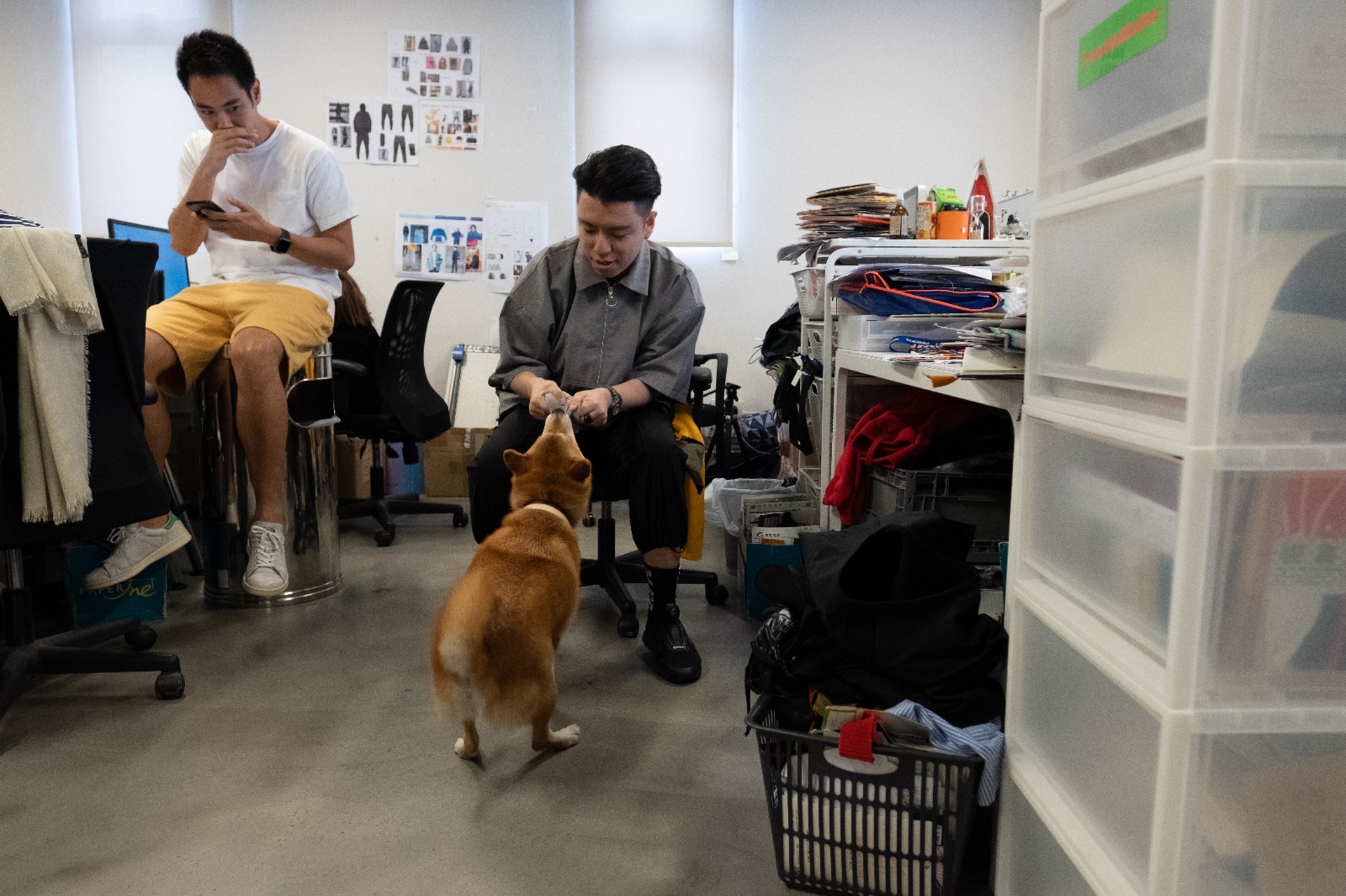 同事們都表示P仔不會太影響到他們工作,反而令他們在壓力中得到舒壓的效果。﹙高仲明攝﹚ 同事們都表示P仔不會太影響到他們工作,反而令他們在壓力中得到舒壓的效果。﹙高仲明攝﹚