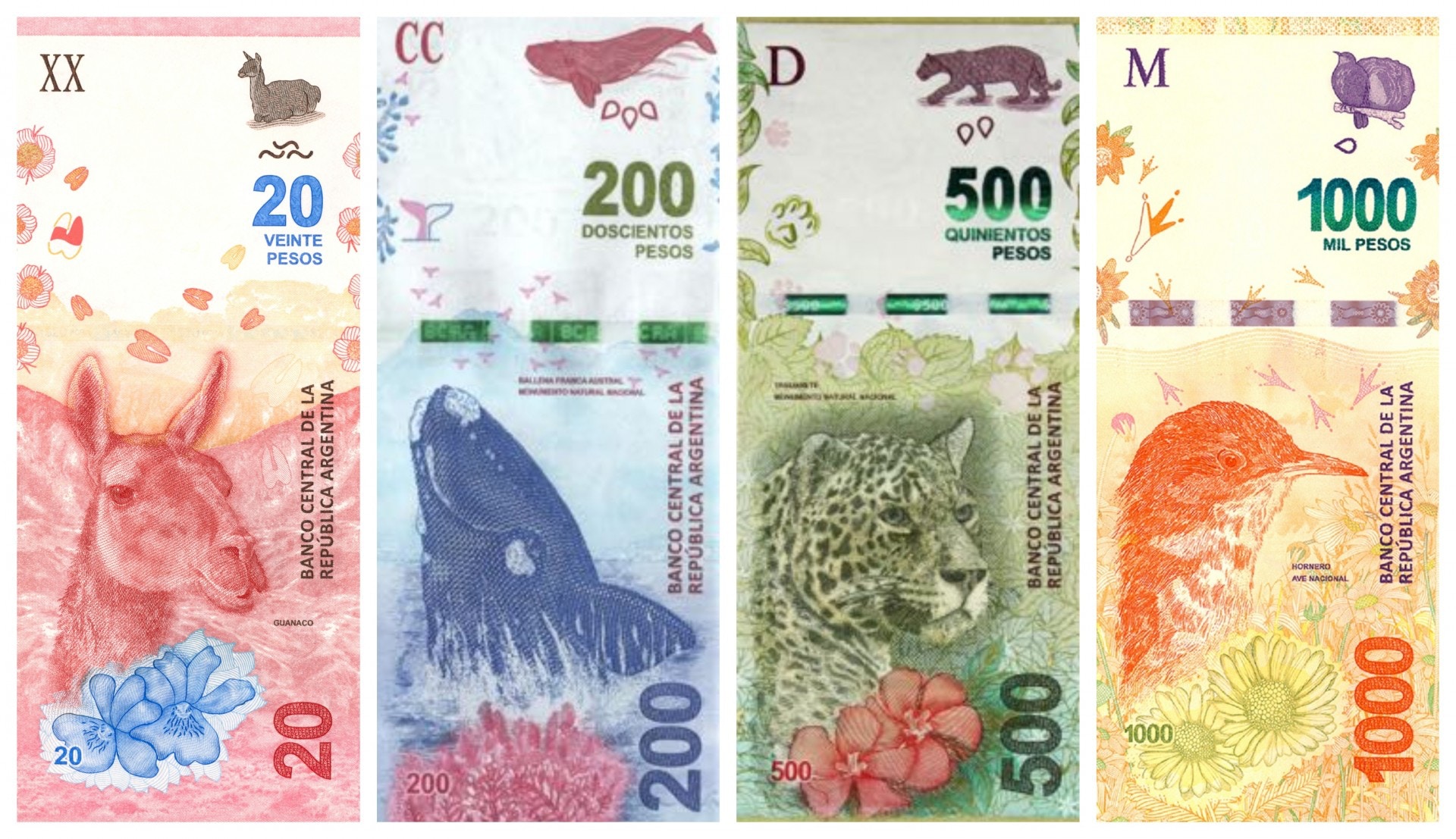 多圖．任睇】蝴蝶50蚊新鈔有特色？ 阿根廷草泥馬美洲豹完勝