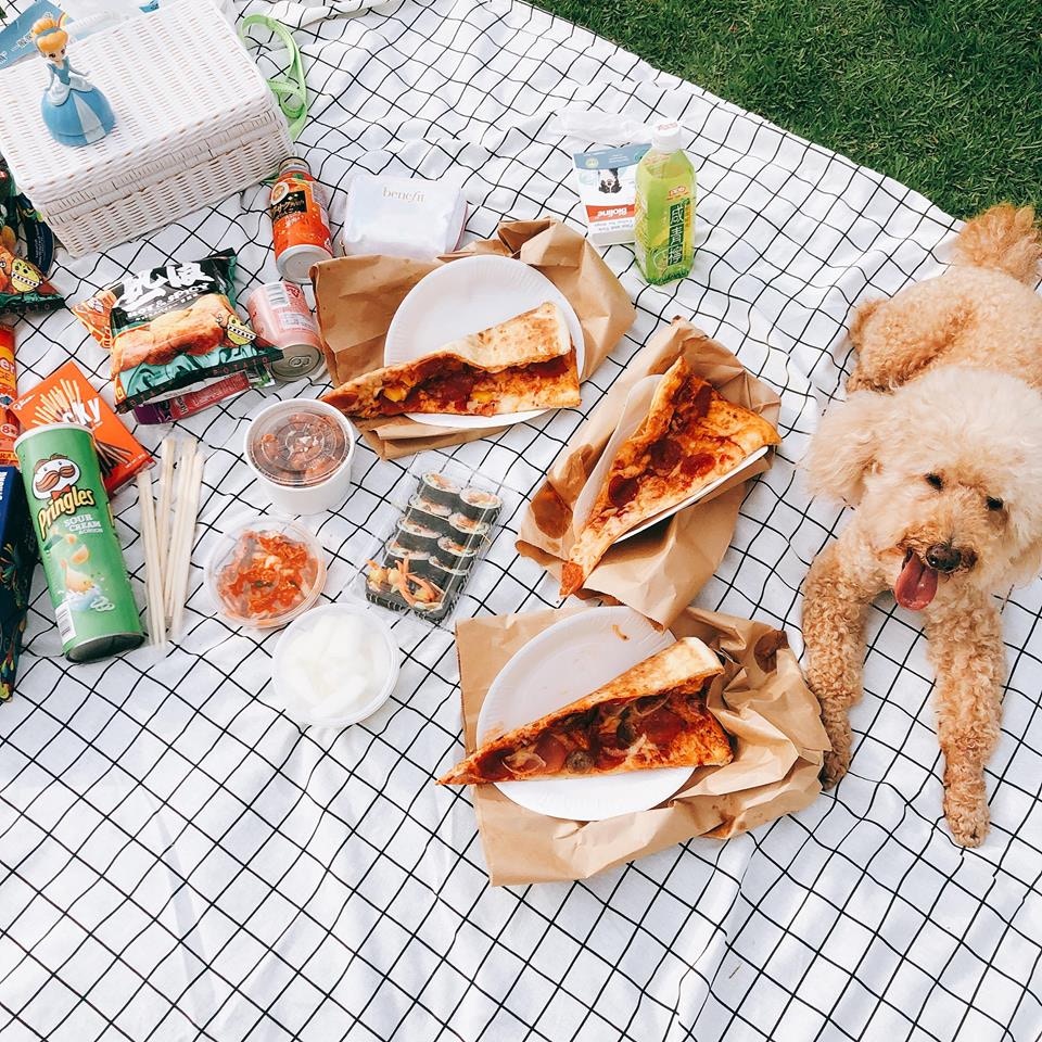 主人形容「卒卒」性格乖巧,平易近人。(KATE LAW) 主人形容「卒卒」性格乖巧,平易近人。(KATE LAW)