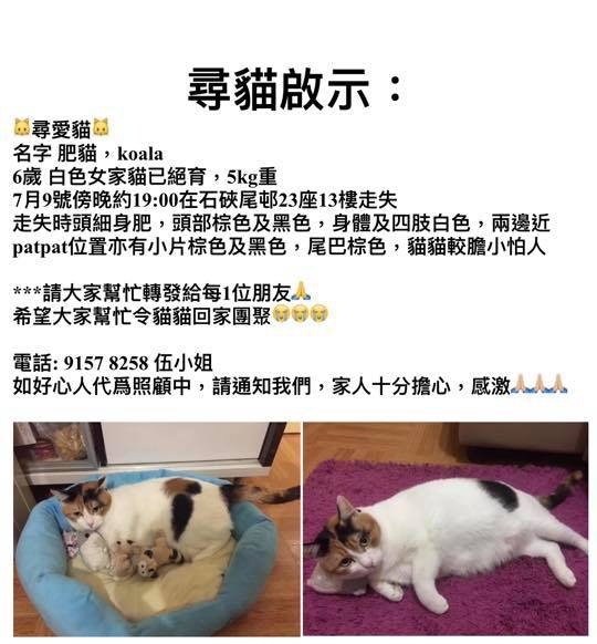 伍小姐自製的傳單。(圖片由受訪者提供) 伍小姐自製的傳單。(圖片由受訪者提供)