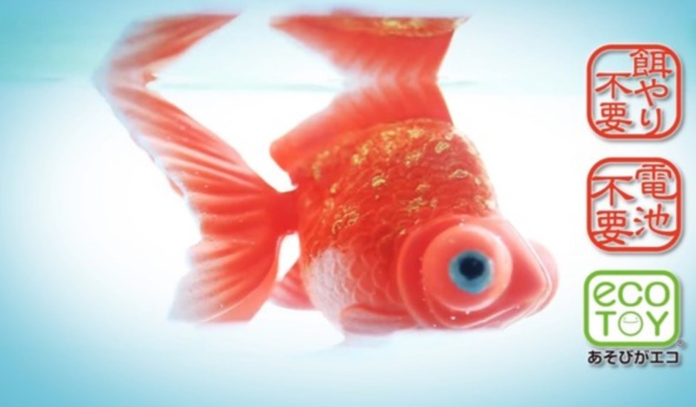 佛系養魚 日本藝術家推 光能金魚 栩栩如生可水中暢游 佛系養魚 日本藝術家推 光能金魚 栩栩如生可水中暢游