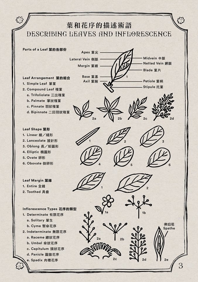 山友必睇 香港毒草指南亂扮神農氏服毒草可致命