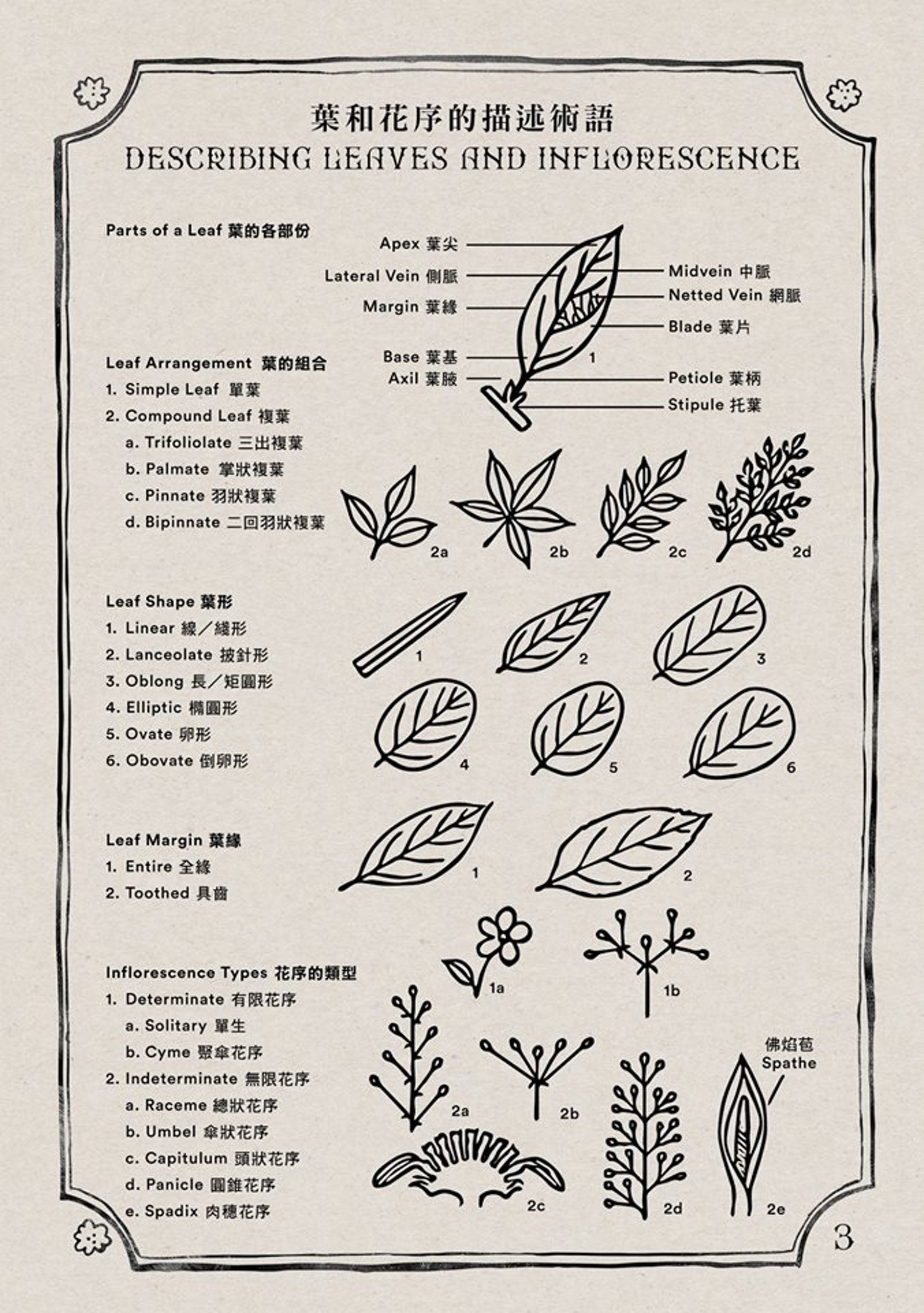 山友必睇 香港毒草指南亂扮神農氏服毒草可致命 山友必睇 香港毒草指南亂扮神農氏服毒草可致命