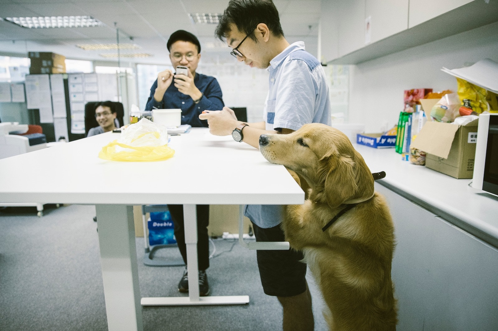 放lunch時間，QQ都想與大家一同放飯。﹙鄭子峰攝﹚