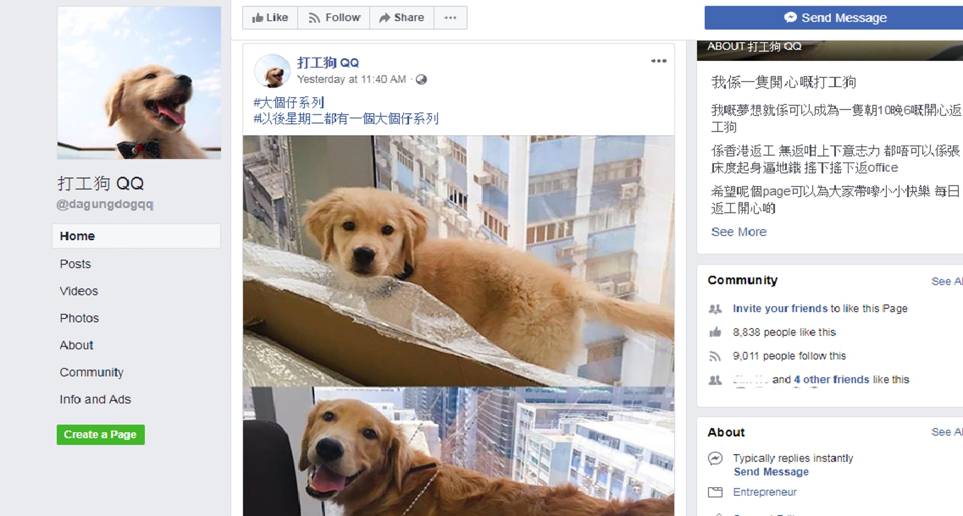 facebook專頁「打工狗QQ」開站短短4個月,已有超過8千粉絲。﹙網上截圖﹚ facebook專頁「打工狗QQ」開站短短4個月,已有超過8千粉絲。﹙網上截圖﹚