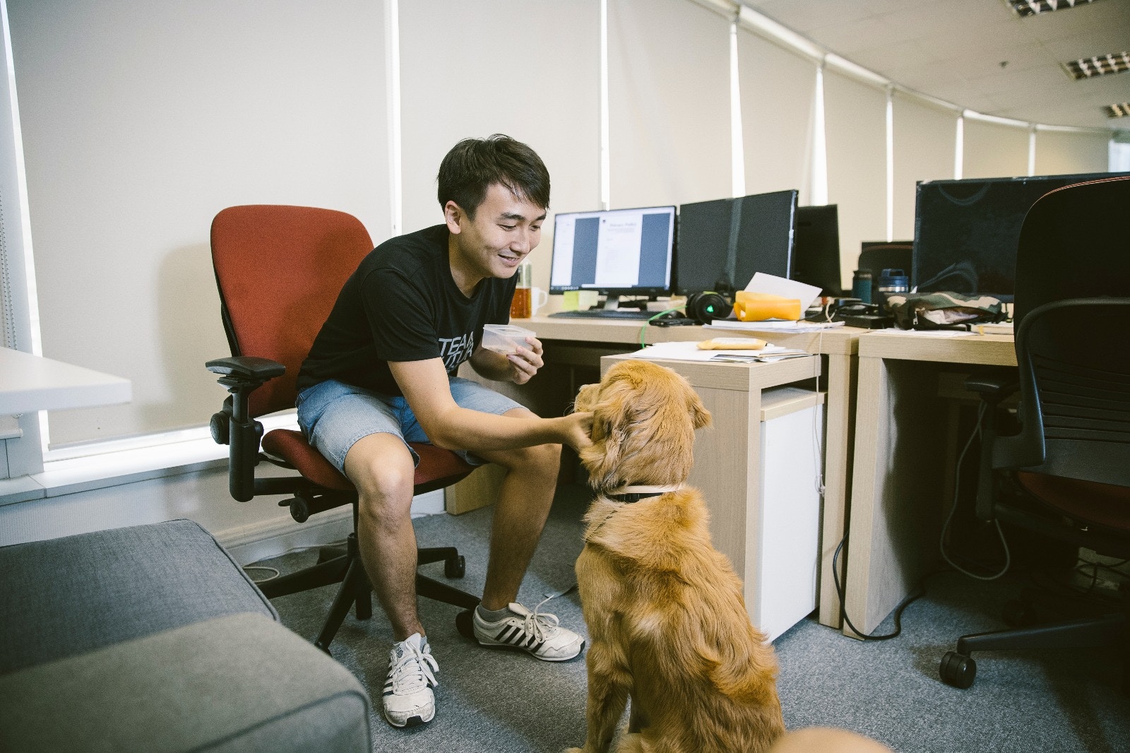 雖然QQ有時會搗亂,但一眾同事都很包容這位只有8個月大的毛小孩。﹙鄭子峰攝﹚ 雖然QQ有時會搗亂,但一眾同事都很包容這位只有8個月大的毛小孩。﹙鄭子峰攝﹚