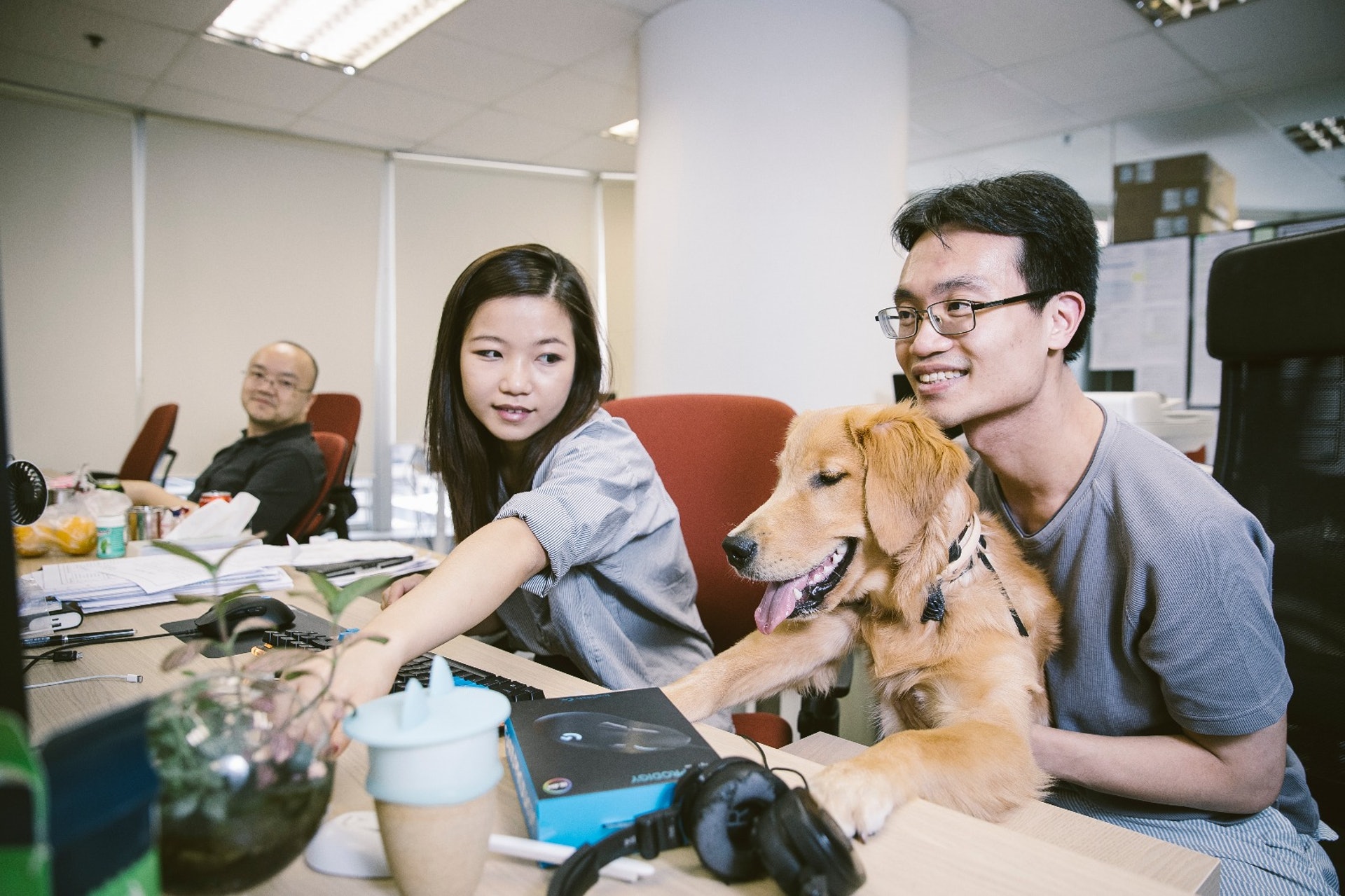 老闆Alvin指自己以前雖然怕狗,但都想參考外國公司的做法,營造一個pet friendly的工作環境。﹙鄭子峰攝﹚ 老闆Alvin指自己以前雖然怕狗,但都想參考外國公司的做法,營造一個pet friendly的工作環境。﹙鄭子峰攝﹚