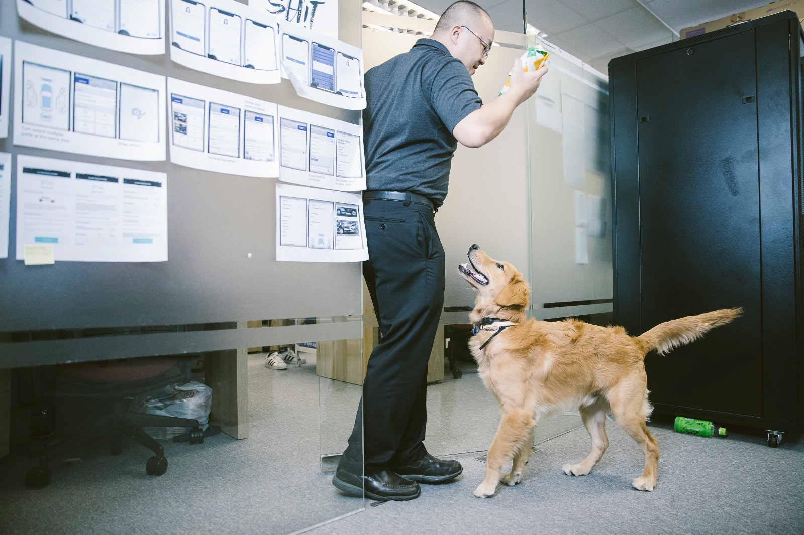 同事不時都會與QQ玩耍。﹙鄭子峰攝﹚ 同事不時都會與QQ玩耍。﹙鄭子峰攝﹚