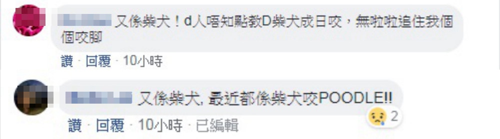 有網民表示柴犬並非首次咬傷其他狗。(網上圖片) 有網民表示柴犬並非首次咬傷其他狗。(網上圖片)
