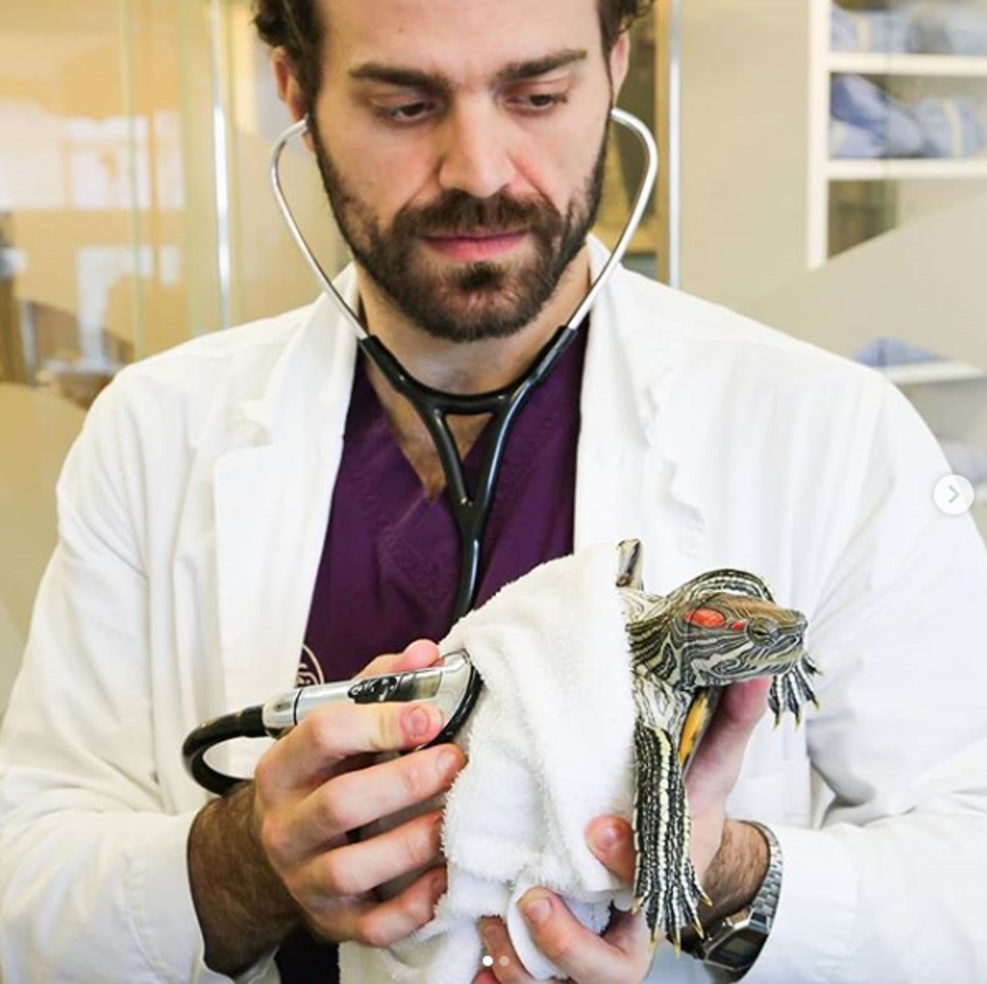 Dr Nic會在Instagram分享治療珍禽異獸的心得。(Instagram @nic_the.animal.doctor) Dr Nic會在Instagram分享治療珍禽異獸的心得。(Instagram @nic_the.animal.doctor)