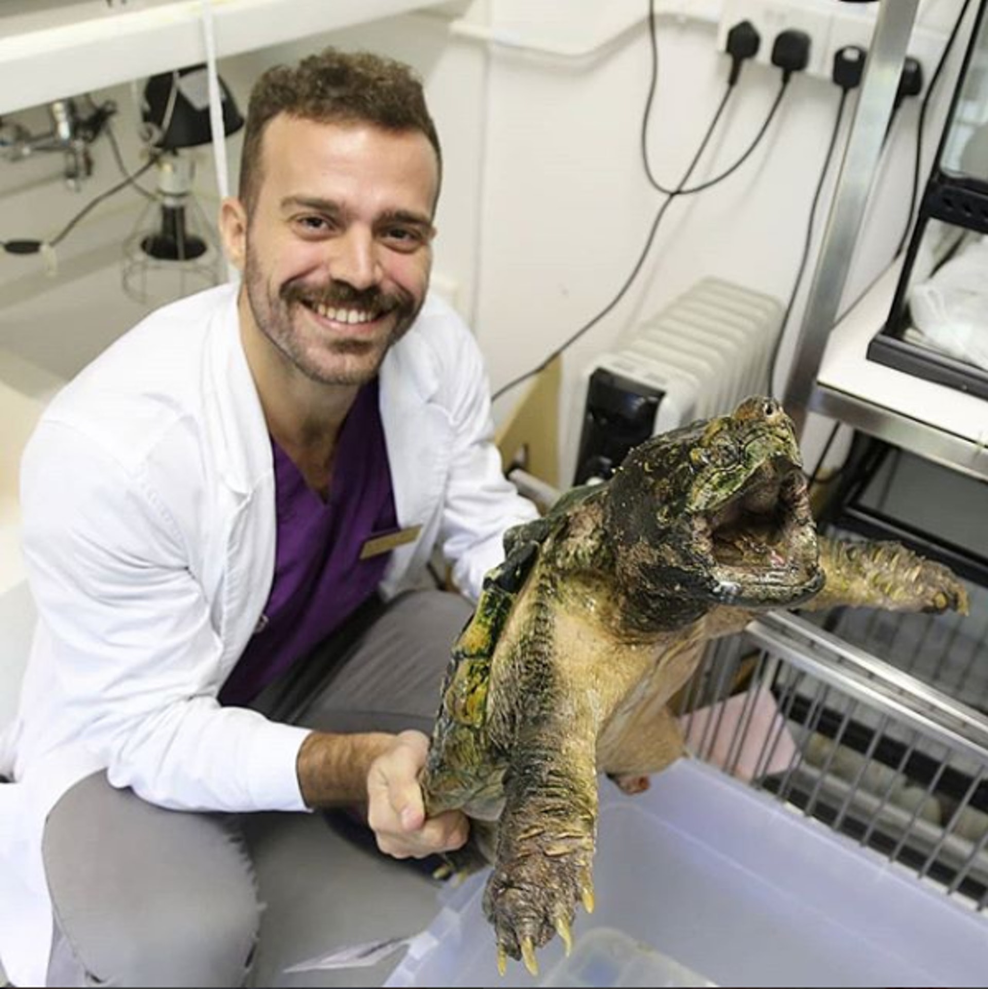 Dr Nic手中的鱷龜攻擊性強,嘴巴咬合力強,可輕易咬斷人的手指。(Instagram @nic_the.animal.doctor) Dr Nic手中的鱷龜攻擊性強,嘴巴咬合力強,可輕易咬斷人的手指。(Instagram @nic_the.animal.doctor)