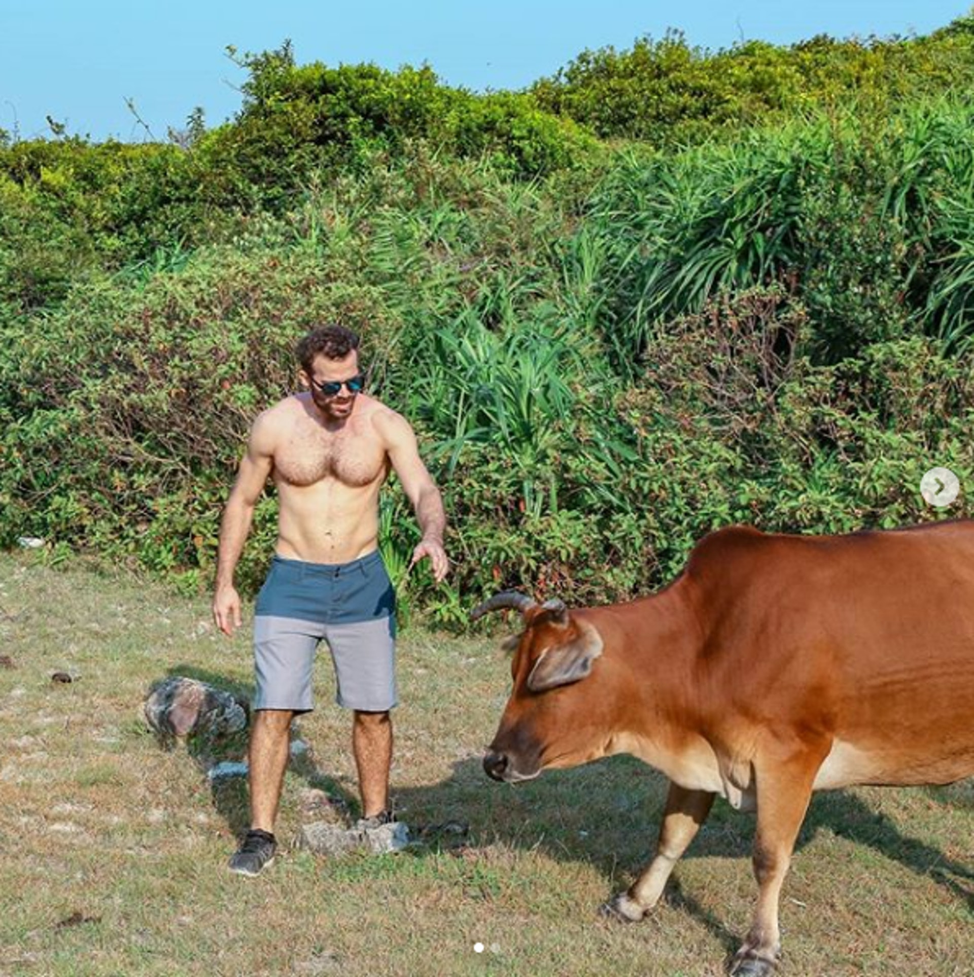 Dr Nic在西貢發現有野牛被困圍欄,幫忙將牠帶回牛群。(Instagram @nic_the.animal.doctor) Dr Nic在西貢發現有野牛被困圍欄,幫忙將牠帶回牛群。(Instagram @nic_the.animal.doctor)