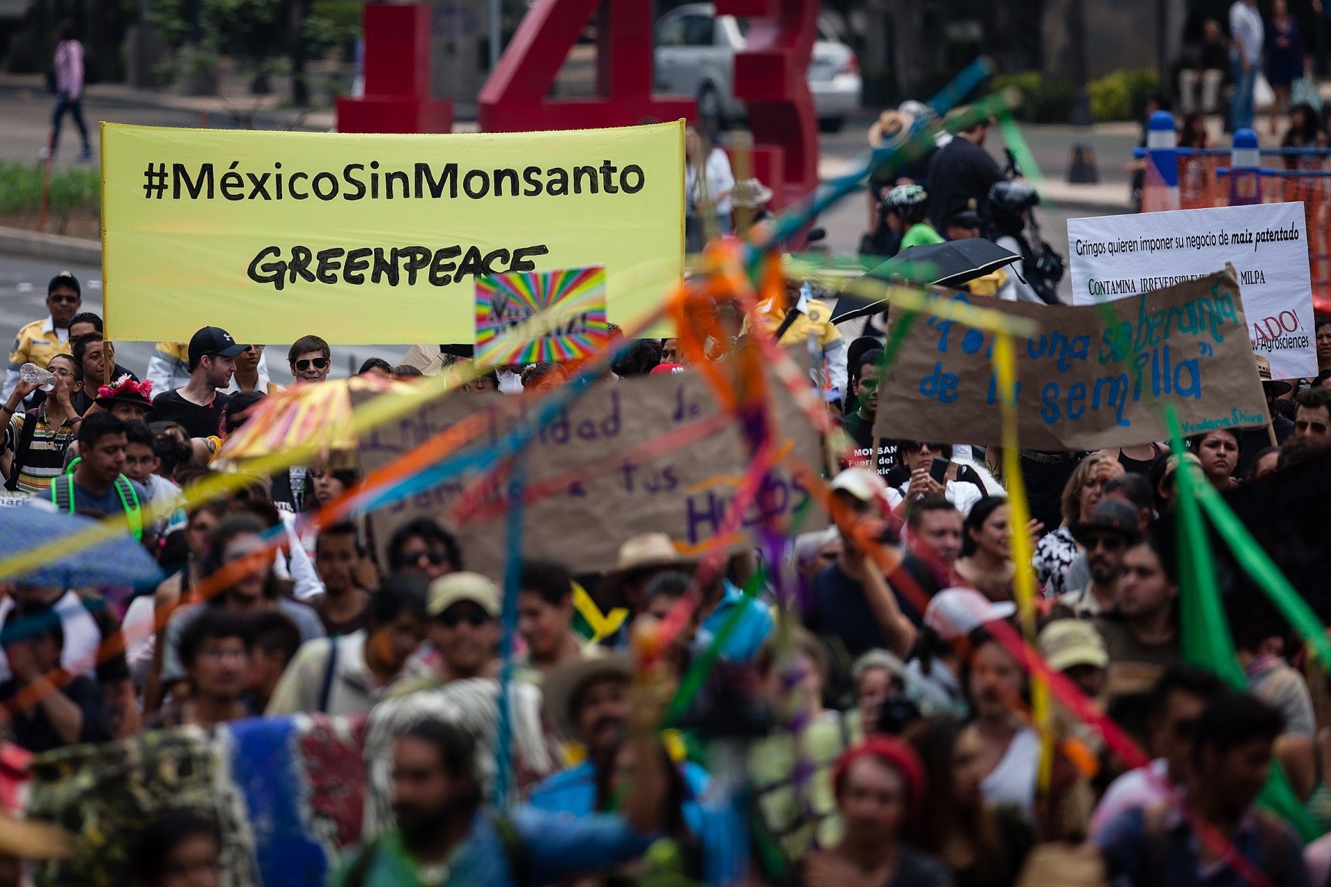 素來反對基因改造食物的一些環保團體,視基因編輯食物為GMO 2.0。(視覺中國)