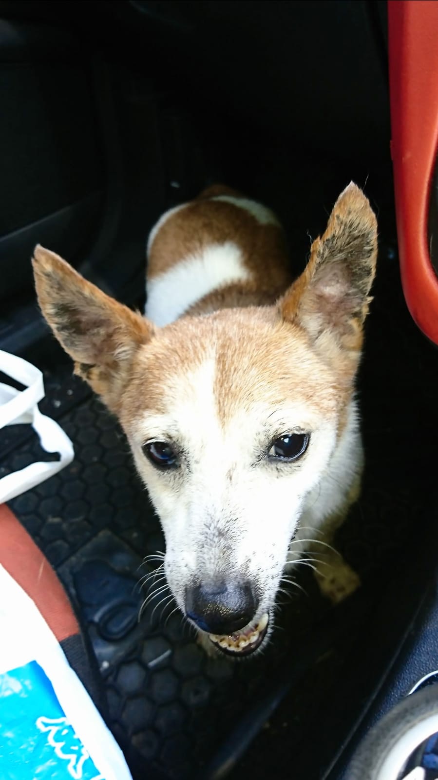 李先生憂心得飯也吃不下 (受訪者提供照片) 李先生憂心得飯也吃不下 (受訪者提供照片)